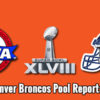 Super Bowl Denver 1-29-14