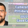 Steelers’ Cameron Heyward selected as PFWA 2022 Good Guy Award winner 22goodguyawardheyward